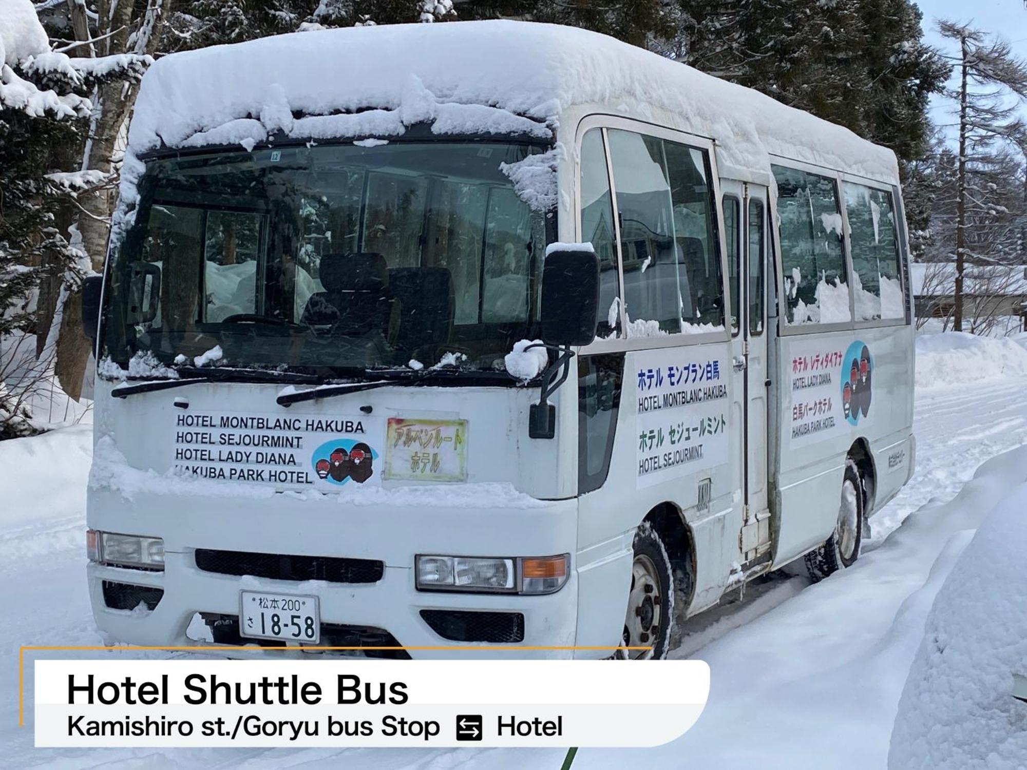 Hakuba Park Hotel מראה חיצוני תמונה